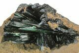 Emerald-Green Vivianite Crystals in Phosphatic Nodule - Brazil #218267-5